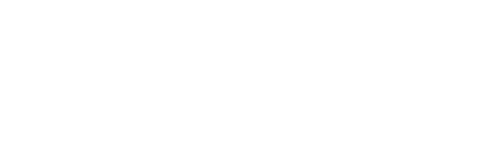 NECHE Logo White