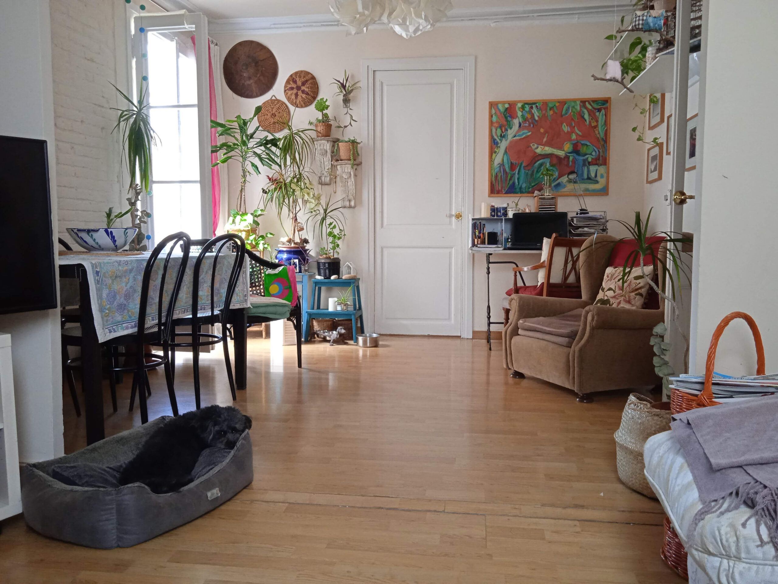 barcelona homestay living_dining room